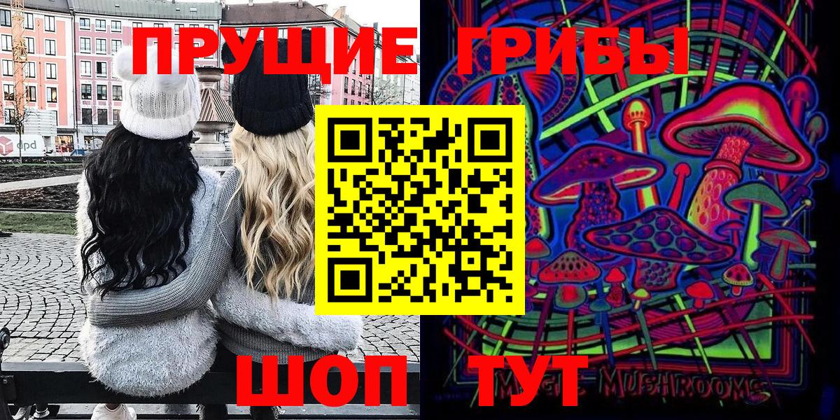 купить закладку  Псилоцибиновые грибы GOLDEN TEACHER  Вход с VPN  Тосно 